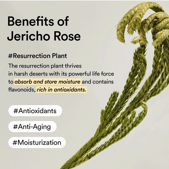 ABIB Jericho Rose Crème Korean Skincare 75ml - Picture 9 of 14